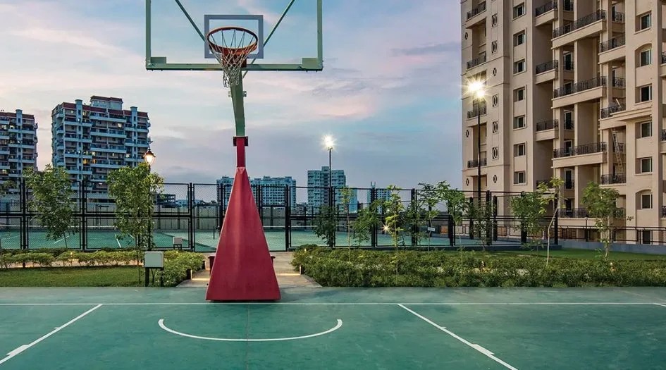 Basketball Court